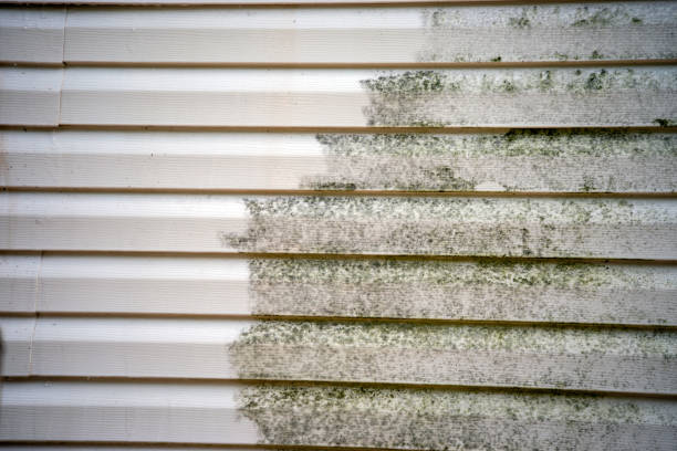 Best Siding Removal and Disposal  in Indian Hills, TX